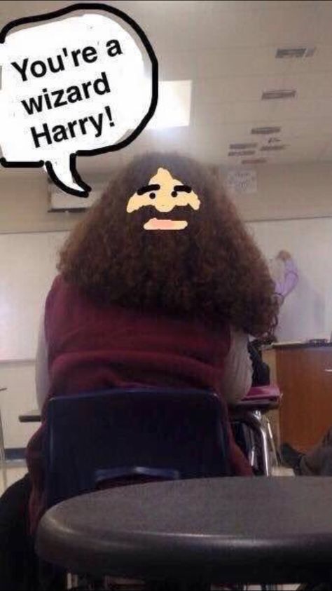 Love Harry Potter jokes You're A Wizard Harry, Funniest Snapchats, Funny Snaps, Snapchat Funny, Harry Potter Jokes, Memes Br, Harry Potter Funny, Harry Potter Memes, Best Funny Pictures