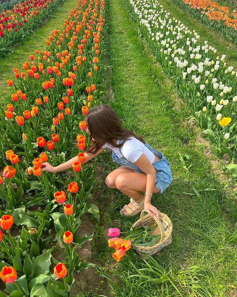 my ideal spring day🌷🧡🌸💐 #flowerfarm #tulipfarm #tulipseason #flowerfield Emery Core, Blossom Aesthetic, Tulip Season, Flower Picks, Picking Flowers, Shot List, Vacation Inspiration, Tulip Fields, Couple Picture Poses