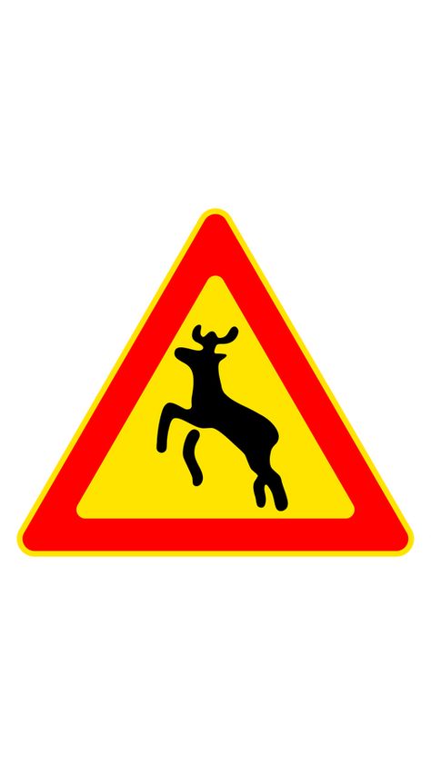 Deer are a common sight in many parts of the world, and they can cause a lot of damage to property and gardens. Deer road signs mean that there is a high probability of deer crossing the road in the... Deer Crossing, Deer Signs, Sign Meaning, Sign Sticker, Traffic Signs, Chrome Web, A Deer, Road Signs, Street Signs