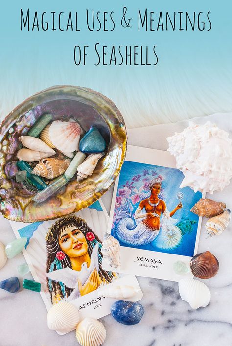 Magical Uses & Meanings of Shells : Seashell Magical Properties, Seashells Witchcraft, Water Priestess, Element Magic, Sea Witchcraft, Mermaid Spells, Fairy Spells, Shadow Journal, Witchcraft Stuff