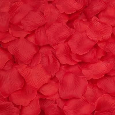 Wholesale Flower - Buy Flowers Decor Party Decorations Silk Flowers Artificiarose Petals Red For Wedding, $0.01 | DHgate Flower Petals Wedding, Fairytale Theme, Theme Garden, Rose Petals Wedding, Silk Rose Petals, Red Rose Petals, Wedding Petals, Butterfly Theme, Gift Packing