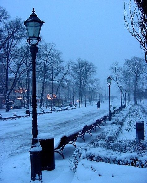 Nordic Countries, Helsinki Finland, Winter Scenery, Winter Beauty, Snowy Day, Winter Pictures, Winter Wonder, Street Light, Winter Landscape