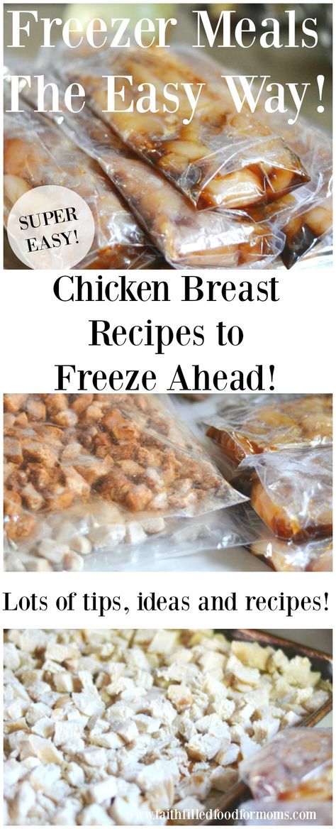 Recipes To Freeze, Easy Meals For Families, Inexpensive Dinners, Cheap Dinner Ideas, Meals For Families, Budget Freezer Meals, Healthy Freezer Meals, Budget Cooking, Simple Family Meals