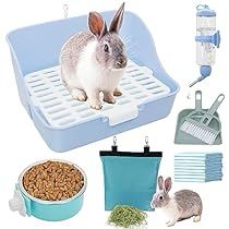 Bunny Litter Box, Rabbit Litter, Potty Training Toilet, Rabbit Litter Box, Potty Trainer, Hay Feeder, Pet Bunny, Pet Rabbit, Small Animals