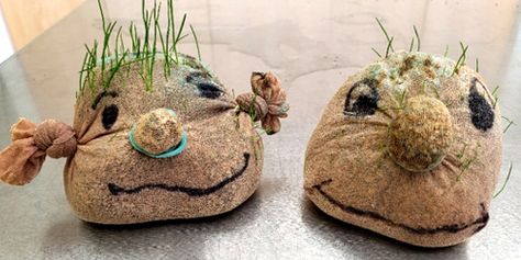 What’s not to love about a Shrek-like sprout head? This DIY project connects young kids to plants and the magic of sprouting seeds. Shrek Crafts, Growing Grass From Seed, Chicago Botanic Garden, Sprouting Seeds, Happy Parents, School Garden, Botanic Garden, Holiday Projects, Holidays With Kids