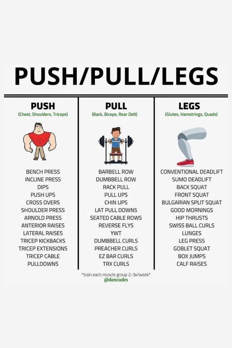 You can add some of theses exercises to your next push/pull/legs workout day that could be helpful! Push Gym Exercises, Push Legs Pull, Full Pull Day Workout, Push And Pull Day Workout, Push Days Workout, Push Upper Body Workout At Gym, Legs Push Pull Routine, Body Weight Push Exercises, Lower Body Pull Workout