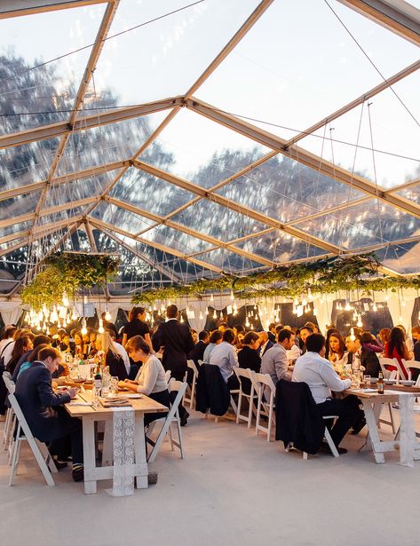 Clear roof marquees are a perfect choice for a marquee wedding. They are light and airy and look stunning when dressed with hanging foliage and lighting. Get more clear roof wedding marquee inspiration on our blog page. #clearroofmarquee #glassmarquee #marqueeweddingdevon Freckle Photography, Hanging Greenery, Marquee Hire, Cottage Wedding, Marquee Wedding, Salou, Festoon Lighting, Tent Wedding, Wedding Lights