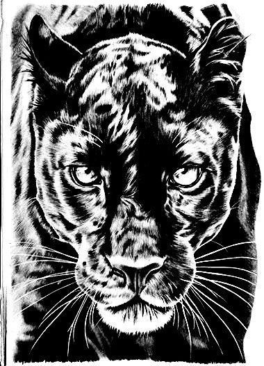 Black Panther Tattoo Stencil, Panther Tattoo Stencil, Panther Tattoo Design, Maa Tattoo Designs, Black Panther Drawing, Lézervágott Fa, Tiger Head Tattoo, Black Panther Tattoo, Big Cat Tattoo