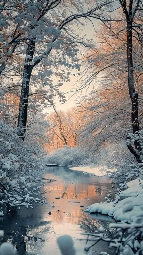 Winter Scenes Wonderland, Beautiful Winter Pictures, Business Decoration, Winter Landscape Photography, Fantasy Nature, Winter Christmas Scenes, Home Corner, Beautiful Winter Scenes, Snow Pictures