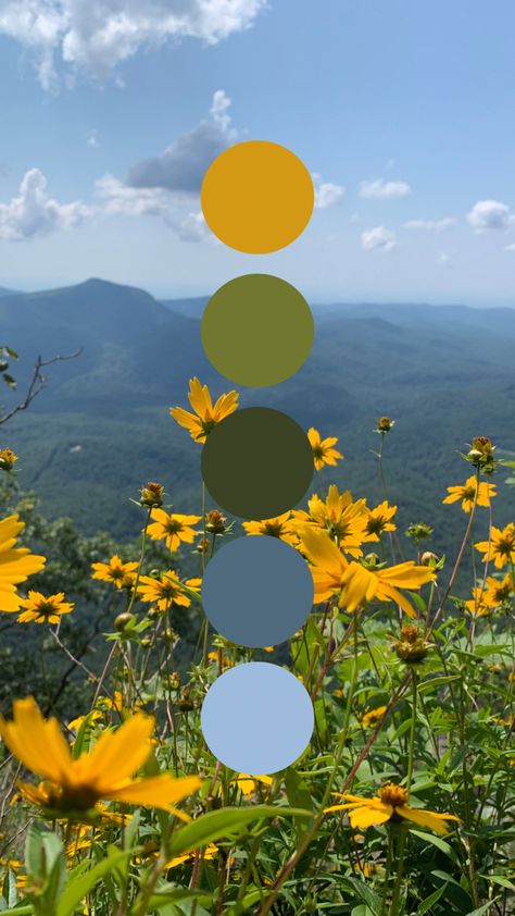 Color Palette With Yellow And Green, Navy Green Yellow Color Palettes, Nature Colour Pallet, Colors That Go Well With Yellow, Green Yellow Blue Palette, Green Grey Yellow Color Palette, Pastel Nature Color Palette, 70s Spring Color Palette, Color Palette Blue Green Yellow