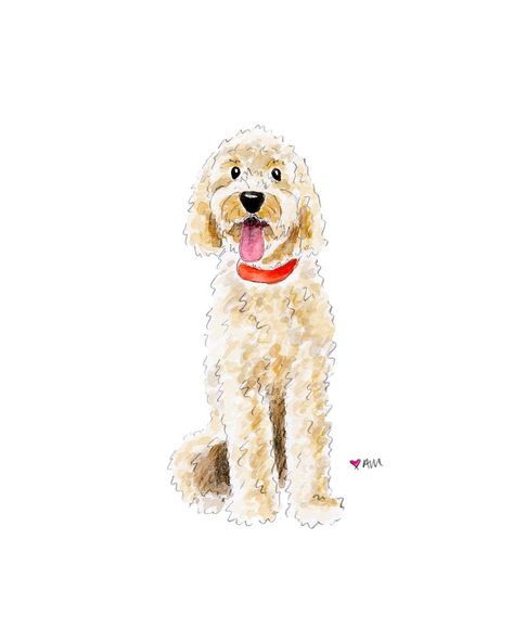 Print Goldendoodle light Illustration Watercolor Art Print - Etsy UK Golden Doodle Watercolor Painting, Golden Doodle Illustration, Watercolor Illustration Art, Cavapoo Drawing, Dog Paintings Easy, Golden Doodle Painting, Golden Doodle Watercolor, Golden Doodle Drawing, Goldendoodle Painting