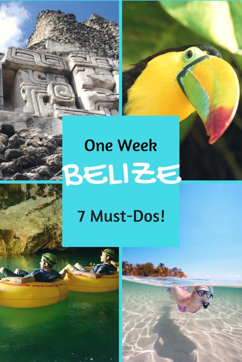 When you only have one week in Belize, here are 7 Must-Do adventures... plus a few extras! http://www.hamanasi.com/belize/belize-one-week-7-must-dos/ Belize Resorts, Belize Vacations, Dive Resort, Belize Travel, Central America Travel, Ancient Mayan, Yucatan Peninsula, Mayan Ruins, South America Travel