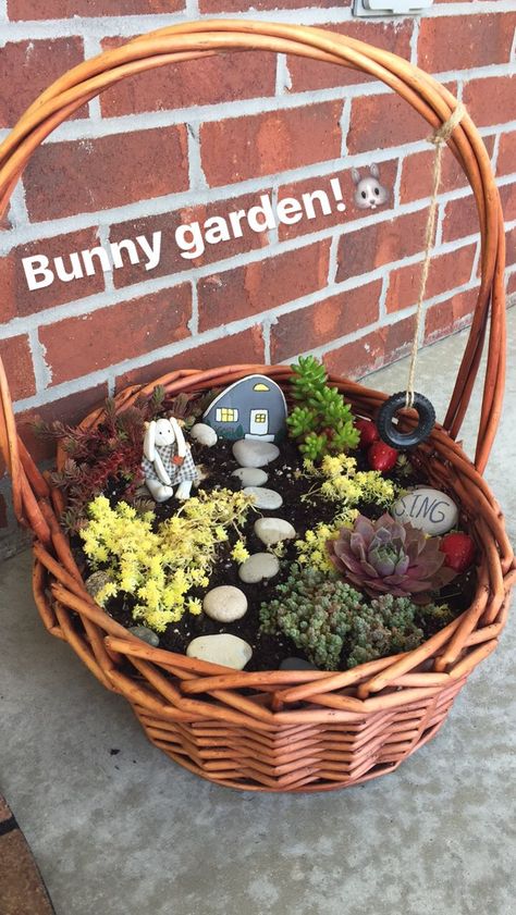 Dish Gardening, Recycled Garden Planters, Cottagecore Crafts, Wooden Bird Feeders, Plant Pot Design, Fairy House Diy, Succulent Garden Diy, Garden Design Layout, Fairy Garden Designs