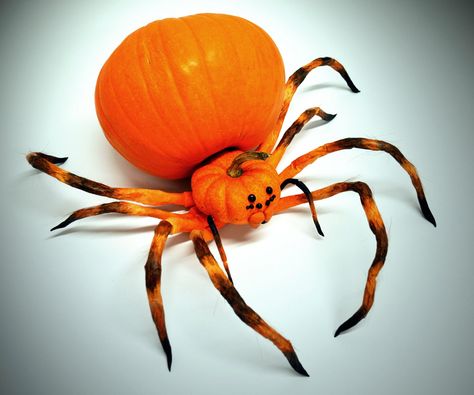 Spider Pumpkin - Jack O' Lantern Spider Pumpkin Painting, Spider Jack O Lantern, Pumpkin Animals, Spider Face, Spider Pumpkin, Jack Lantern, Cheap Candles, Creepy Pumpkin, Easy Pumpkin Carving