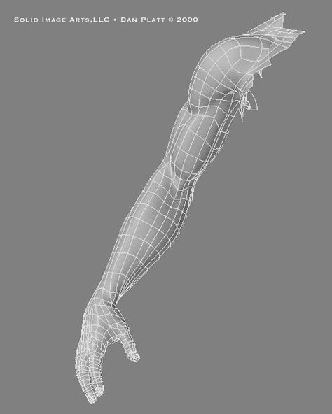 3d Topology Arm Face Topology, Maya Modeling, 3d Anatomy, Website Planning, 3d Karakter, Polygon Modeling, Anatomy Sculpture, 3d Modeling Tutorial, Layout Plan