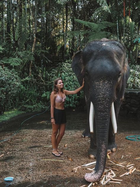 Mason Elephant Sanctuary in Bali, Indonesia Instagram: jonny.melon Bali Elephant, Elephant Rescue, Bali Baby, Elephant Park, Bali Honeymoon, Bali Guide, Voyage Bali, Bali Vacation, Bali Holidays