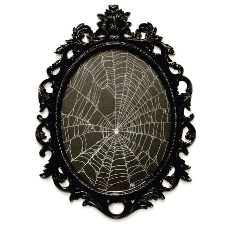 Creativecinderella on Instagram: “Oval Frames 🕷 Real Spider Web 🕷 Now in stock in my Online shop. Check out this and many more of my spider web creations @…” Orb Weaver, Real Spiders, Web Spider, On Black Canvas, Baroque Frames, Real Nature, Gothic Furniture, Spider Art, Gothic Home