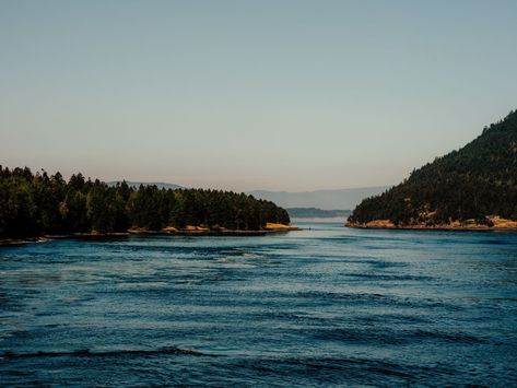 In the Salish Sea’s narrow channels, where hundreds of thousands of ferries traverse water every year, two ferries that pass each other can leave little room for foraging orcas. A prime example: this channel, called Active Pass. Salish Sea, British Columbia, North West, Columbia, Water, Quick Saves