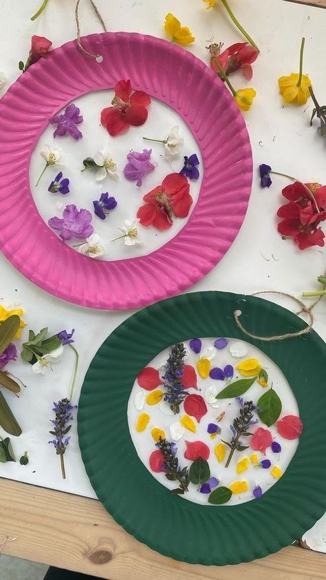 Spring Crafts Preschool, Crafts 2023, Suncatcher Craft, Spring Preschool, Paper Plate Crafts, Plate Crafts, Toddler Art, Spring Activities, Spring Art