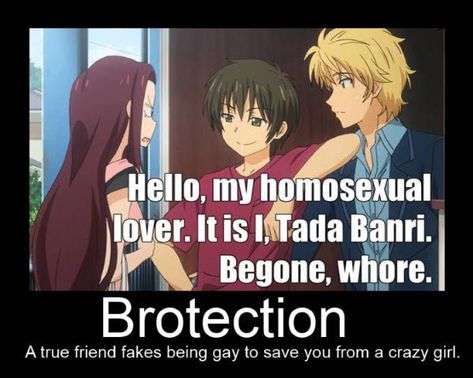 Stomach Inside, Anime Logic, Funniest Quotes, Golden Time, Ouran Host Club, Anime Jokes, True Friendship, Crazy Girls, I Love Anime