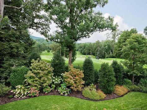 Property Line Landscaping Ideas, Layered Privacy Landscaping, Tree Line Landscaping, Property Line Ideas, Property Line Landscaping Front Yards, Property Line Landscaping, Shrub Border, Acreage Landscaping, Evergreen Landscape