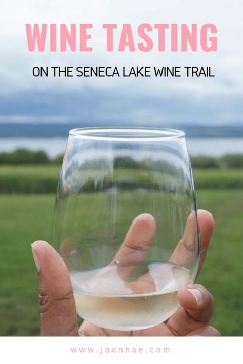 Recap of a day wine tasting from some of the many Seneca Lake Wineries in NY's Finger Lakes Wine Country #newyork #travelguide #winetasting Finger Lakes Wineries, Finger Lakes Ny, Seneca Lake, Travel United States, Watkins Glen, Wine Trail, Hilton Garden Inn, Wine Travel, Finger Lakes