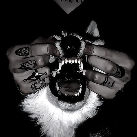 Dog Poetry, Teeth Aesthetic, Canine Tooth, Angry Dog, Scary Dogs, Scary Animals, Cute Emo, Silly Things, Aggressive Dog