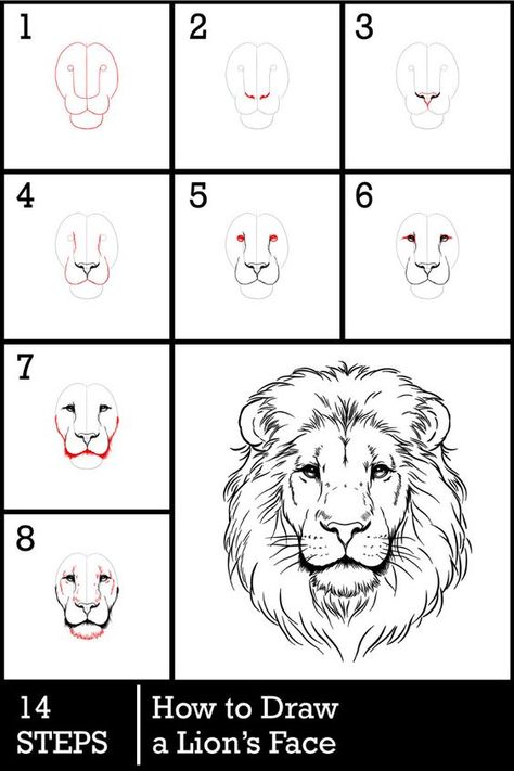 Draw A Lion, How To Draw Realistic, Lion Sketch, Beginner Sketches, Draw Realistic, Lion Drawing, Final Fantasy Ix, Drawing Guides, King Of The Jungle