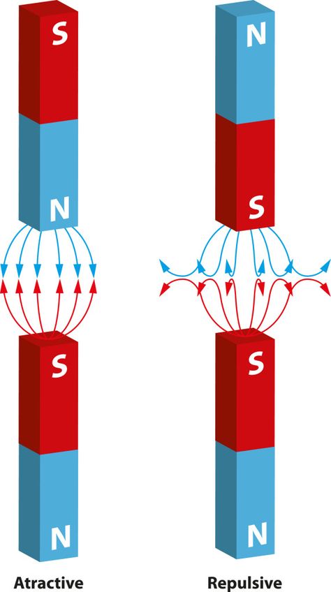 Magnetic Poles  #Education #Poles #Magnets #Kids Weird Science Facts, Science Experiments Kids Elementary, Electrical Engineering Books, Science Chart, Element Chemistry, Science Electricity, Physics Lessons, How The Universe Works, Fun Magnets