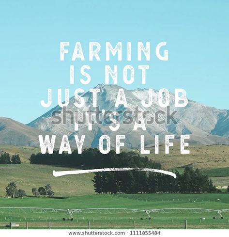 Inspirational Agricultural Quotes Farming Not Job Stock Photo (Edit Now) 1111855484 Agriculture Quotes Inspiration, Farming Quotes Inspirational, Farm Quotes Inspirational, Farmers Market Quotes, Agriculture Slogans, Gardening Quotes Inspirational, Farming Quotes, Agriculture Quotes, Farm Life Quotes