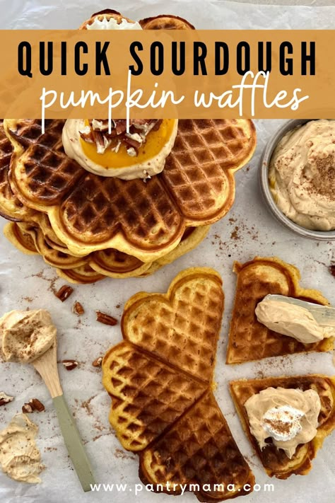 Sourdough Discard Pumpkin Waffles, Discard Pumpkin Pancakes, Sourdough Pumpkin Waffles, Pumpkin Sourdough Waffles, Vegan Sourdough Waffles, Pumpkin Sourdough Pancakes, Sourdough Protein Waffles, Sourdough Discard Pumpkin Pancakes, Sourdough Pumpkin Pancakes