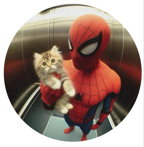 Spiderman Profile Picture, Spiderman Profile Pic, 3 Matching Icons Friends, Spiderman Dp, Emo Pfp Aesthetic, Dp Profile, Gwen Spiderman, Y2k Profile Picture, Emo Pfp