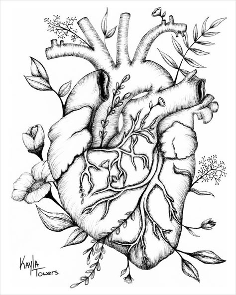 Tattoo Art Drawings Sketches, Anatomical Heart Art, Heart With Flowers, Tree Drawings Pencil, Heart Sketch, Art Drawings Sketches Pencil, Heart Drawing, Tattoo Art Drawings, Anatomical Heart