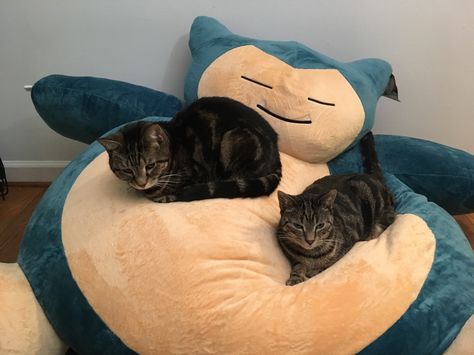 (1) Tumblr Giant Snorlax Plush, Snorlax Bean Bag, Giant Snorlax, Snorlax Plush, Giant Plush, Goofy Ahh, Pokemon Plush, Two Cats, Dreamy Room