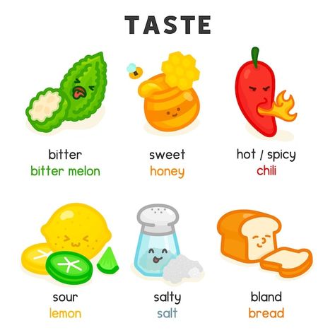 Taste Vocabulary English, Taste Words, Words English, New Vocabulary, Taste Vocabulary, English Words For Kids, Vocabulary For Kids English, English Word, Food In English For Kids