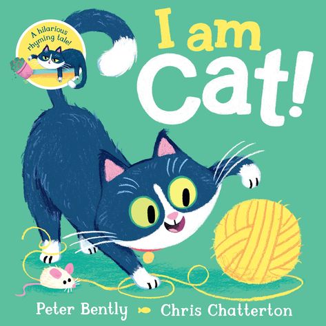 Chris Chatterton, Cat Activities, Rhyming Pictures, Dinosaur Cards, Cat Activity, Boy Fishing, House Cat, Picture Books Illustration, Little Cat