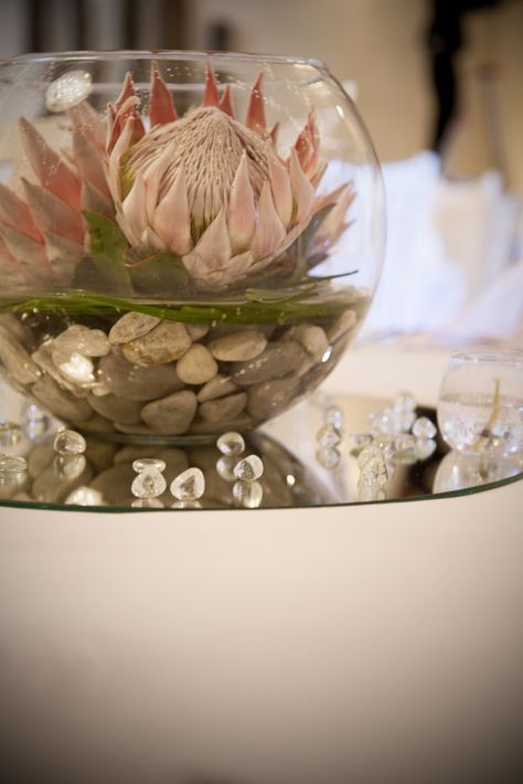 Alethea Rheeder IT Productions & Dithakga Events alethea@dithakgaevents.com Protea Wedding Table Decor, Protea Centerpiece, Round Wedding Tables, Protea Wedding, Protea Art, Protea Bouquet, King Protea, Protea Flower, Tafel Decor