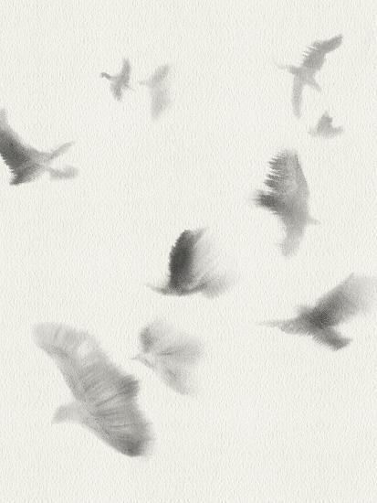 'Birds in Flight - Glide' Giclee Print - Kristine Hegre | Art.com Winged Creatures, Bird In Flight, Portrait Background, Artwork Display, Brand Board, Bird Illustration, Painting Edges, In Flight, Bird Prints