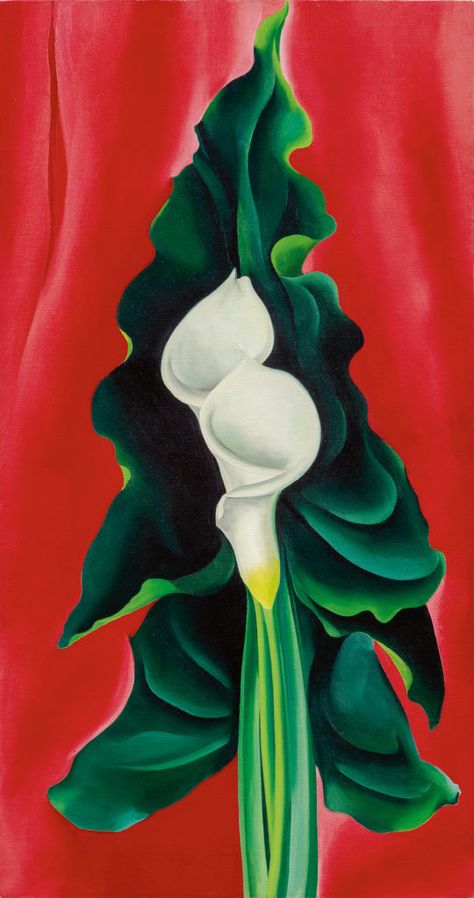 Georgia O'keefe Art, Georgia O Keeffe Paintings, O Keeffe Paintings, Georgia Okeefe, Georgia O Keeffe, O Keeffe, Art Print Display, Calla Lilies, Calla Lily