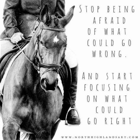 Horse Jumping Quotes, Equestrian Motivation, Equine Quotes, Horse Sayings, Horse Quotes Funny, Inspirational Horse Quotes, Horse Riding Quotes, Equestrian Quotes, Cowgirl Quotes