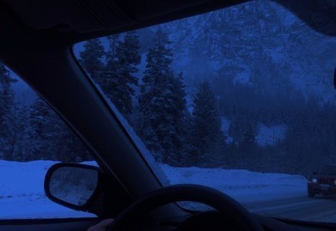 Blue Hour, A Car, At Night, Trees, Road, Blue