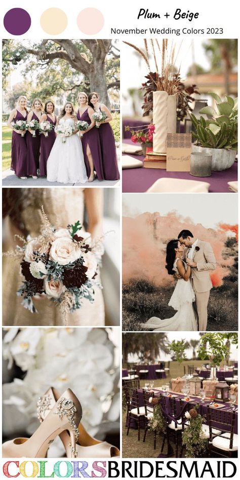 plum and beige November wedding colors for 2023, plum bridesmaid dress, white bridal gown, beige bridegroom suit and plum corsage, beige wedding shoes, invitation and cake, plum wedding tablecloth, and a beige flowerpot. #plumweddings #weddings #weddingideas #bridesmaiddresses #fallweddings #colsbm #2023 #novemberweddings November Wedding Colors, Plum Bridesmaid, November Aesthetic, Greenery Wedding Bouquet, Rust Bridesmaid Dress, Wedding Color Palettes, Plum Bridesmaid Dresses, Fall Wedding Color Palette, White Bridal Gown