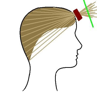 Interesting way to cut layers in your hair. Someday I might be brave enough to try this. Ponytail Haircut, Cut Your Own Hair, Cut Own Hair, Irish Car, St Patties, Cut Layers, Car Bomb, How To Cut Your Own Hair, Diy Haircut