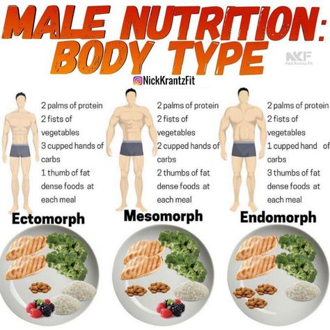 Diet For Men, Ectomorph Workout, Endomorph Diet, Muscle Diet, Smart Food, Clean Foods, Diet Plans For Men, Bodybuilding Diet, Lifestyle Change