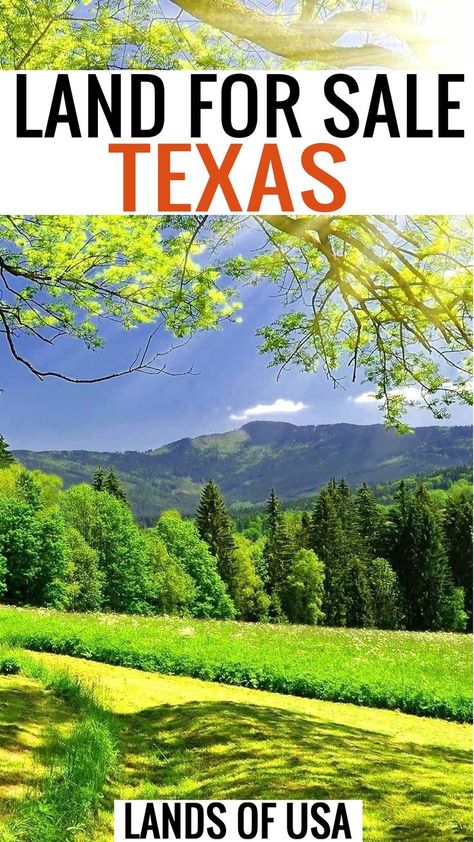 Texas Lands For Sale | Texas Cheap Lands | Best Places To Live | Texas Living Ideas | Lands For Sale Land Ideas, Cheap Land, Wichita Falls Texas, Texas Land, Texas Living, Texas Places, Dream Property, Places To Live, Eureka Springs