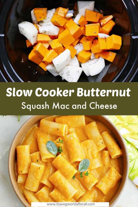 Butternut Squash Crockpot, Butternut Squash Slow Cooker, Butternut Squash Mac And Cheese Recipe, Slow Cooker Mac Cheese, Slow Cooker Butternut Squash, Butternut Squash Recipes Pasta, Butternut Squash Pasta Sauce, Pumpkin Crockpot, Squash Mac And Cheese