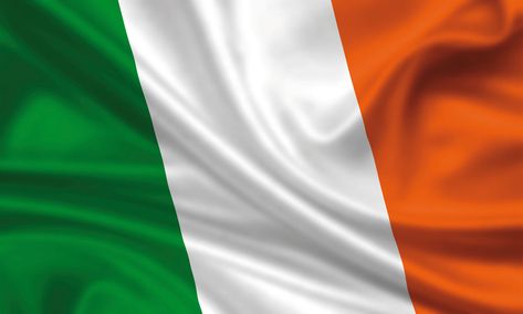 Irish Flag Ireland Flag Aesthetic, Heritage Quilt, English Activity, Images Of Ireland, Ireland Flag, Surprise Visit, Irish Flag, Stock Broker, Books Aesthetic