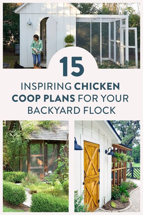 Everything you need to start your own backyard flock, from chicken coop plans and inspiration to care and maintenance of your chickens. Wooden Succulent Planter, Backyard Chicken Coop, Backyard Chicken Coop Plans, Diy Chicken Coop Plans, Raising Backyard Chickens, Landscaping Inspiration, Backyard Flocks, Coop Plans, European Farmhouse