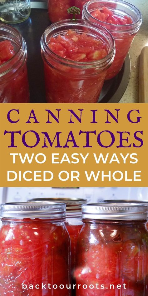 Water Bath Salsa, Canning Pantry, Salsa Canning Recipes, Canning Tomatoes Recipes, Can Food, Easy Canning, Pressure Canning Recipes, Canning Fruit, Canning Whole Tomatoes