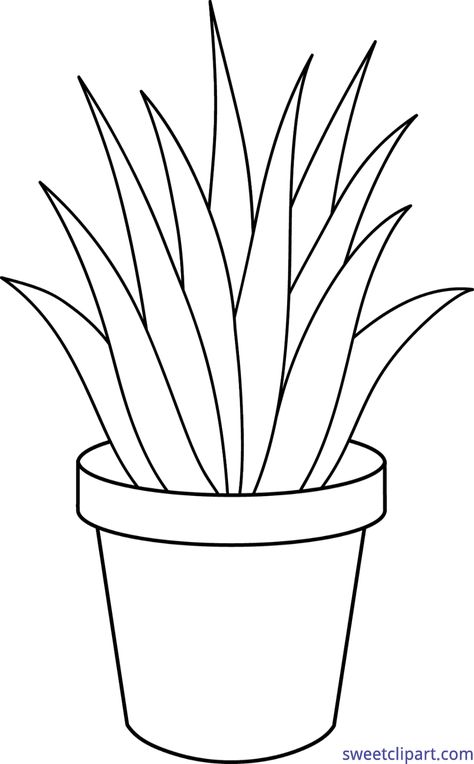 Sweet Clip Art - Cute Free Clip Art and Coloring Pages Aloe Succulent, Plants Printable, Draw Outline, Plants Drawing, Plant Clipart, Sunflower Coloring Pages, Flower Indoor, Plant Png, Plant Clips